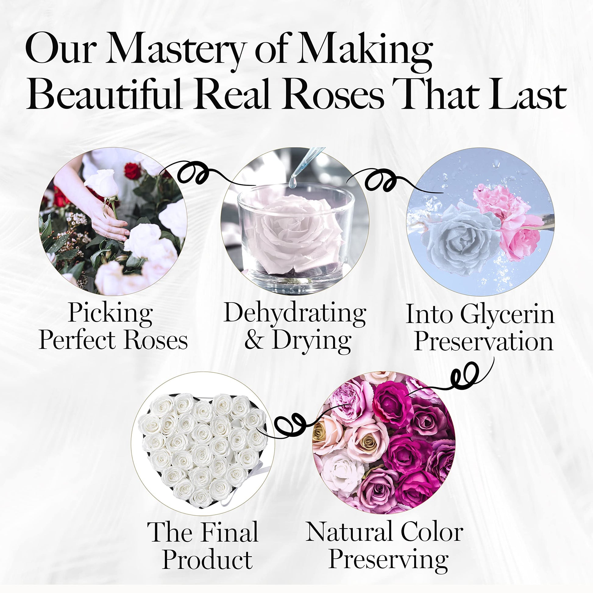 27-Piece Forever Flowers Heart Shape Box - Preserved Roses, Immortal Roses That Last a Year - Eternal Rose Preserved Flowers for Delivery Prime Mothers Day & Valentines Day - White