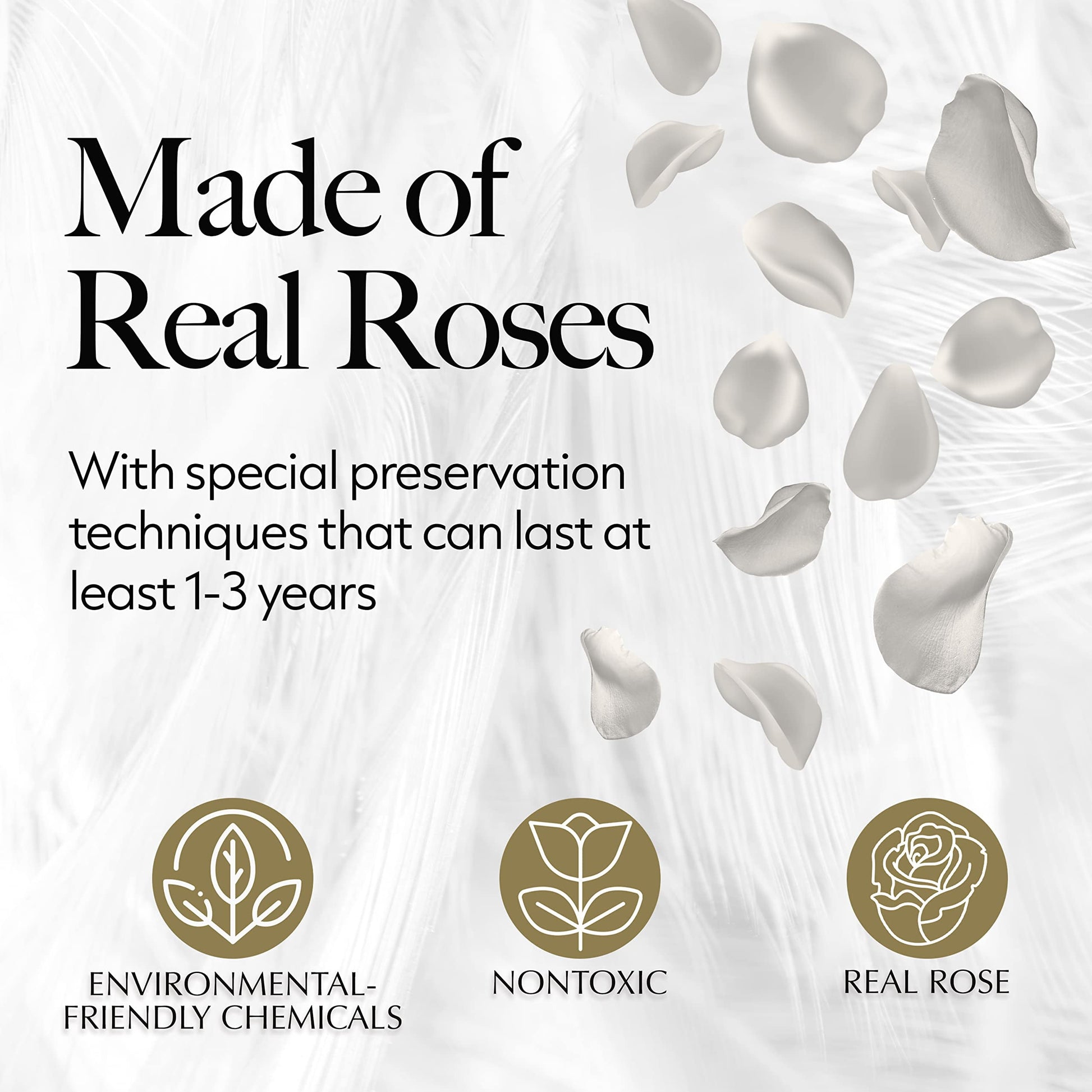27-Piece Forever Flowers Heart Shape Box - Preserved Roses, Immortal Roses That Last a Year - Eternal Rose Preserved Flowers for Delivery Prime Mothers Day & Valentines Day - White