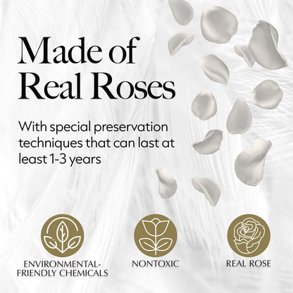 27-Piece Forever Flowers Heart Shape Box - Preserved Roses, Immortal Roses That Last a Year - Eternal Rose Preserved Flowers for Delivery Prime Mothers Day & Valentines Day - White